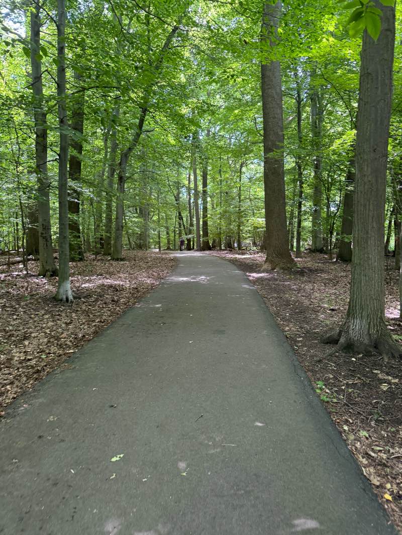 walking near me in Walton Woods Park in winter