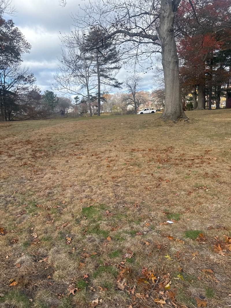 walking near me in Gallagher Park in autumn