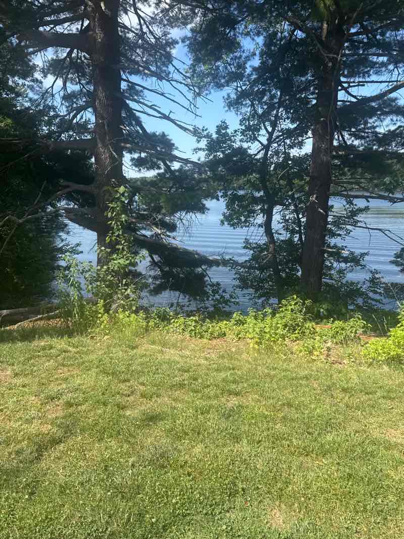 walking near me in Cochituate State Park in summer