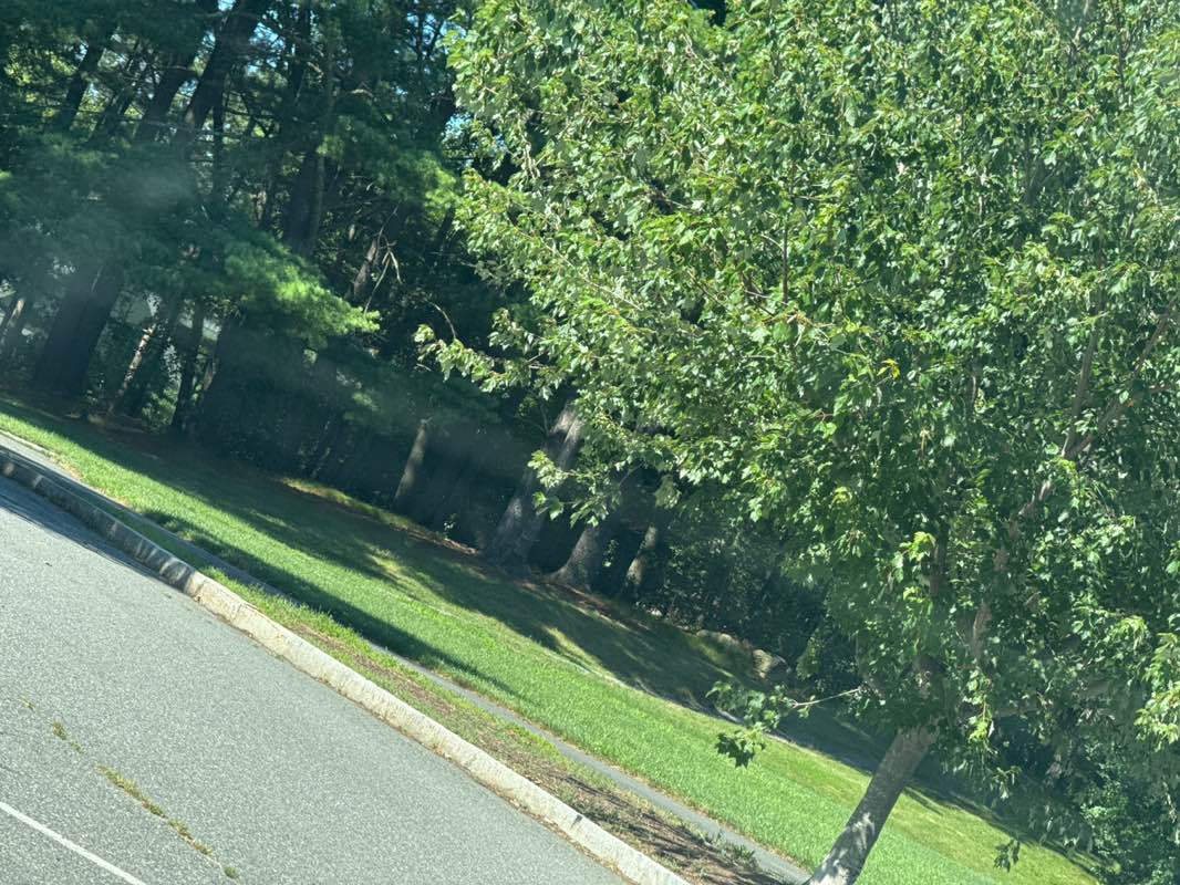 walking near me in John J. Lane Park in autumn