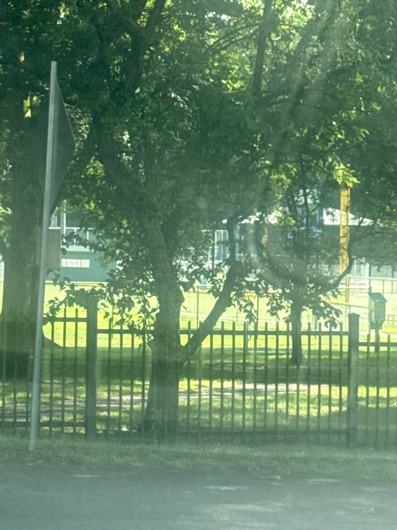 walking near me in Nipper Maher Park in autumn