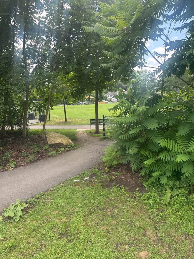 walking near me in Navy Yard Playground in summer