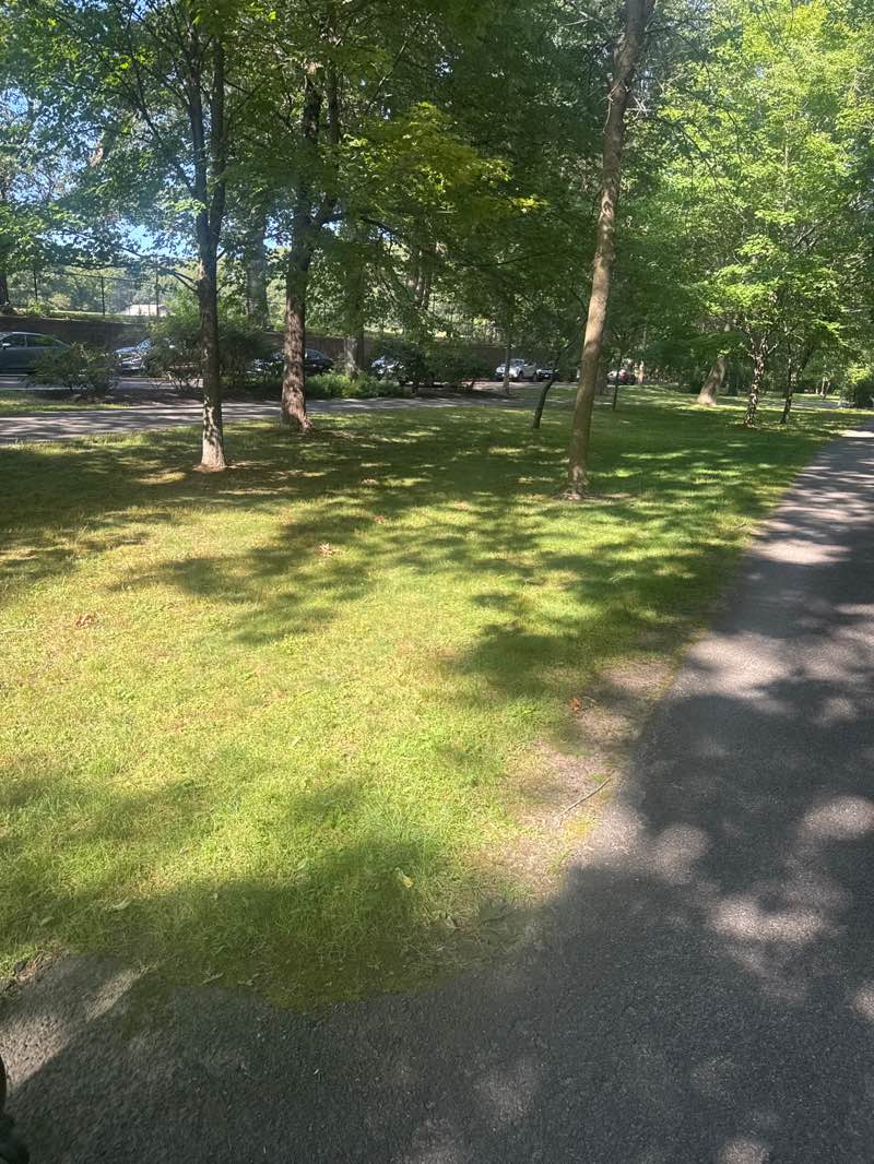 walking near me in Harry Downes Field in autumn