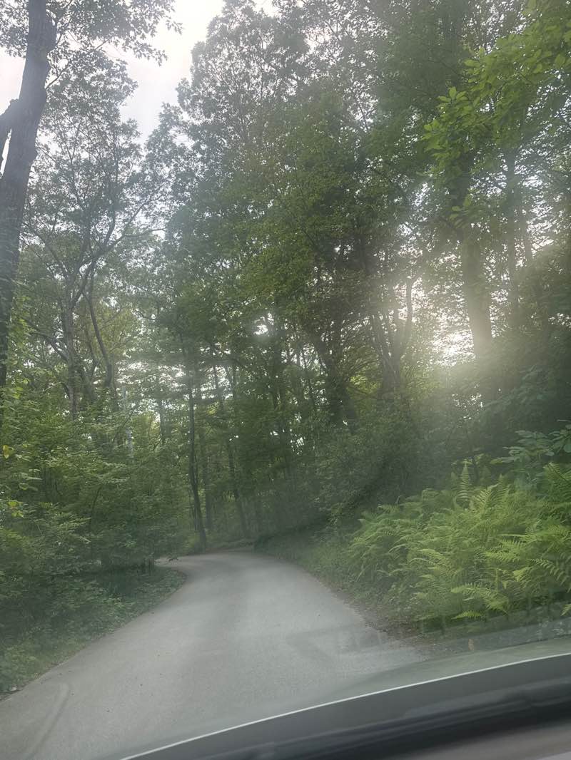 walking near me in Catherine Road in summer