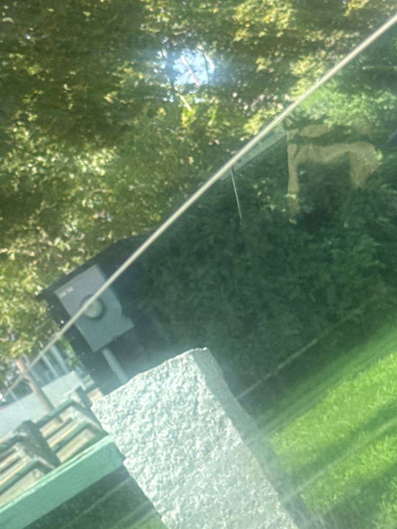 walking near me in Peter Gilmore Playground in autumn