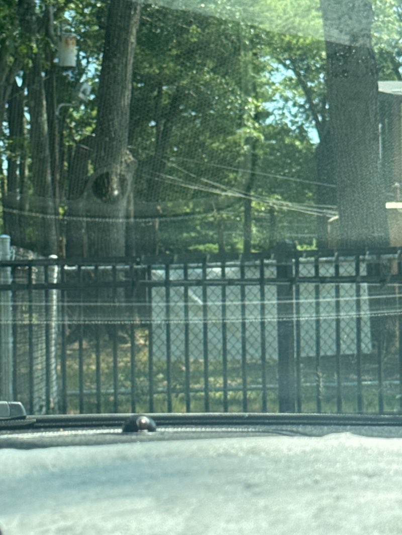 walking near me in East Playground in autumn