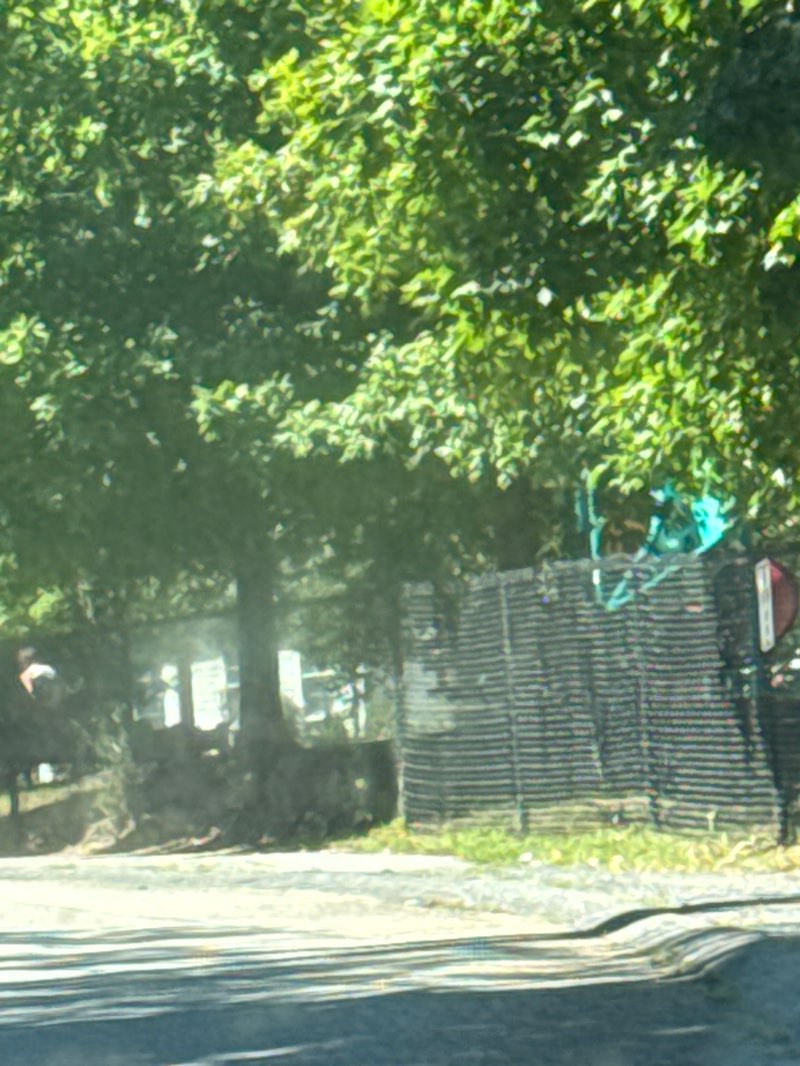 walking near me in Albee E. Loker Park in autumn