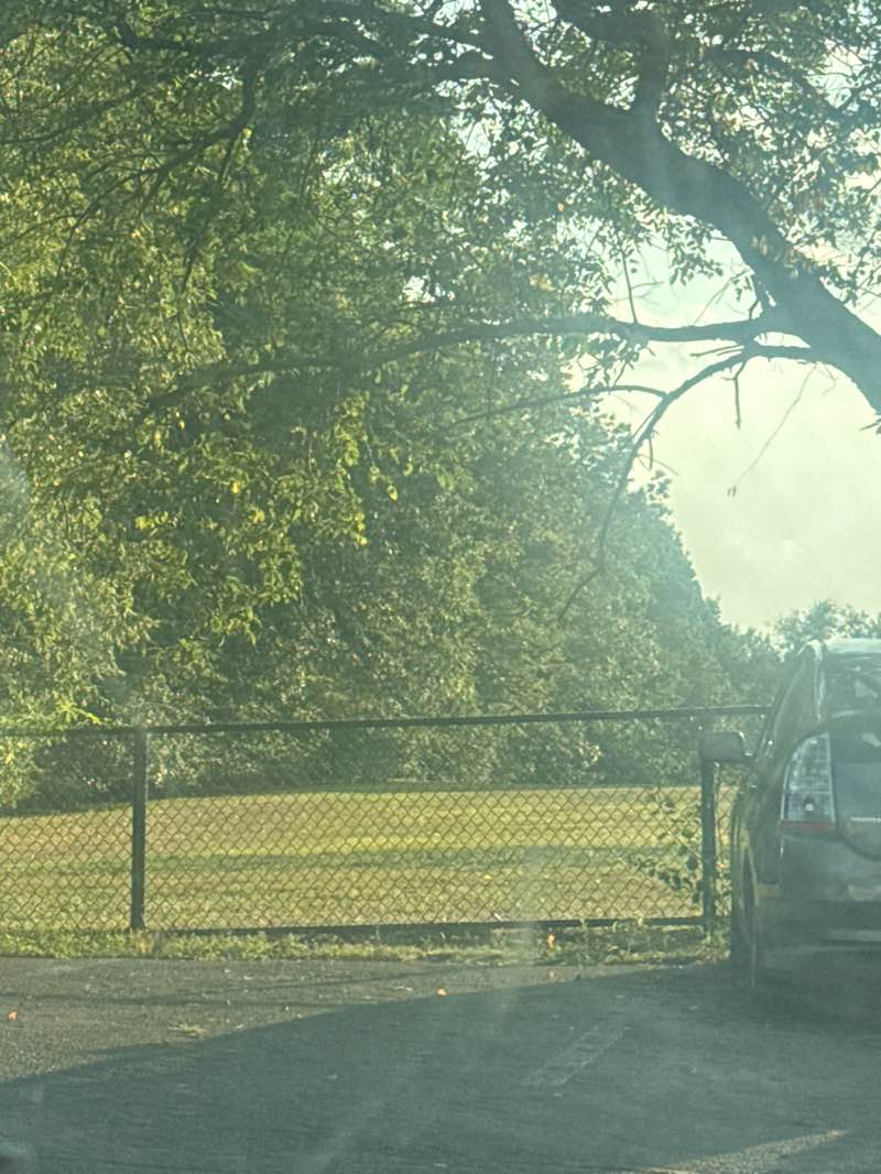 walking near me in Officer Bobby Braceland Playground in autumn
