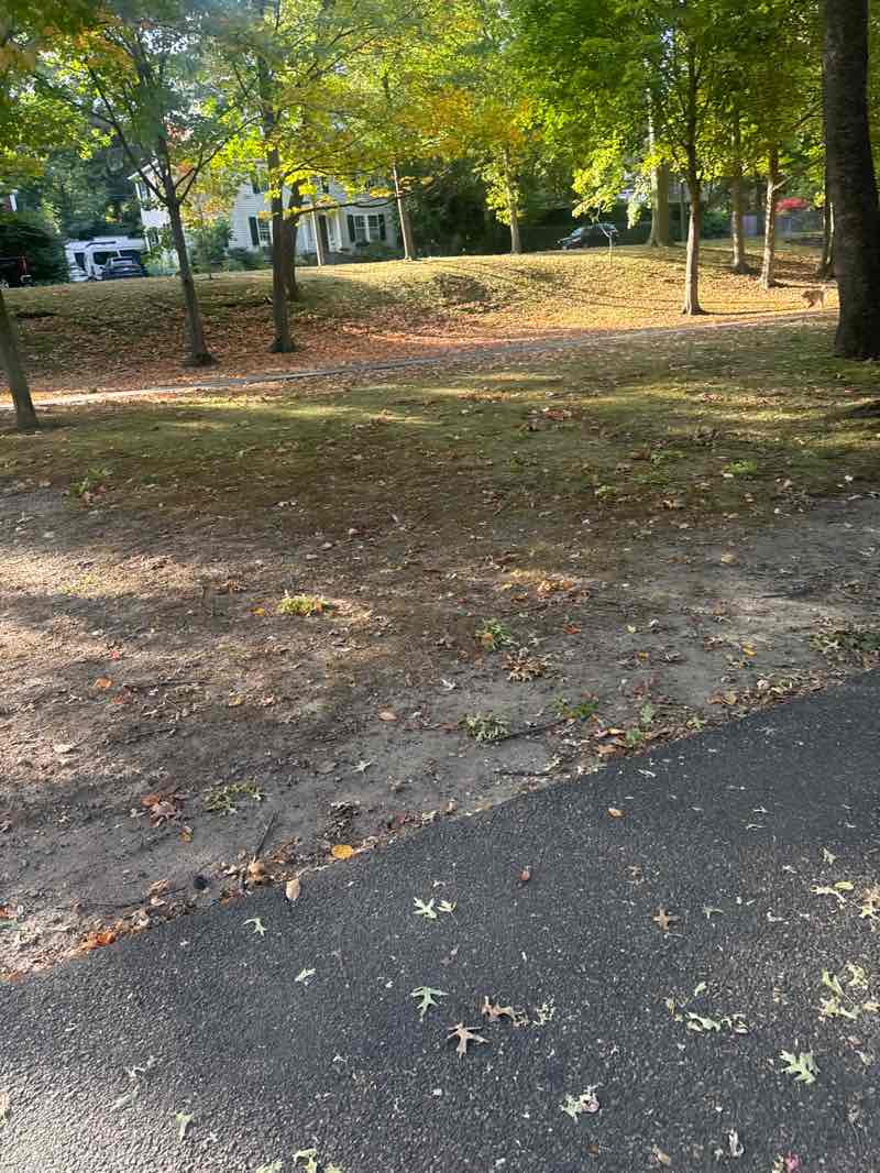 walking near me in Olmsted Park in autumn