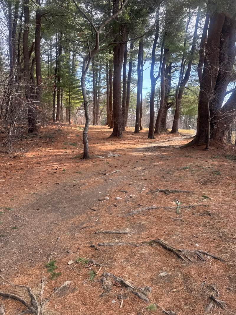 walking near me in Weston Reservoir in spring