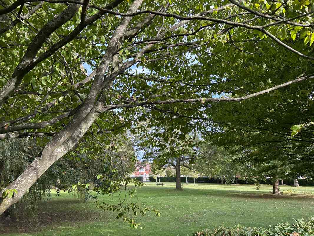 walking near me in Cosham Park in autumn