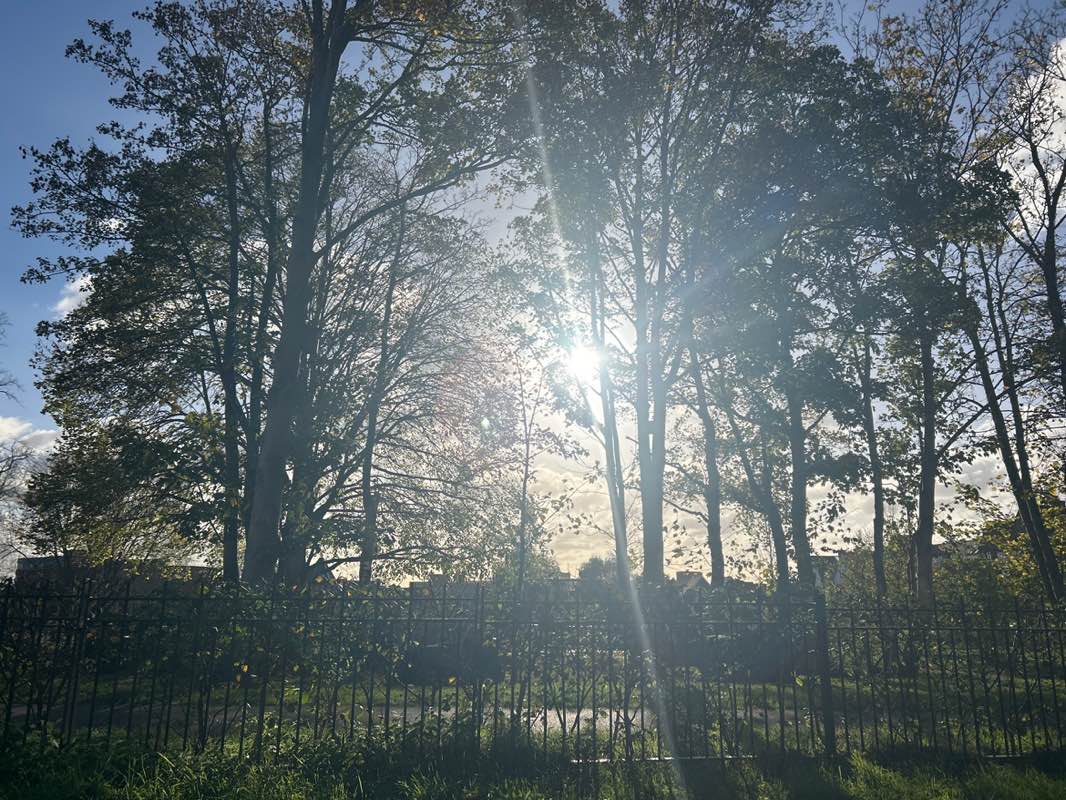 walking near me in Elms Field in autumn