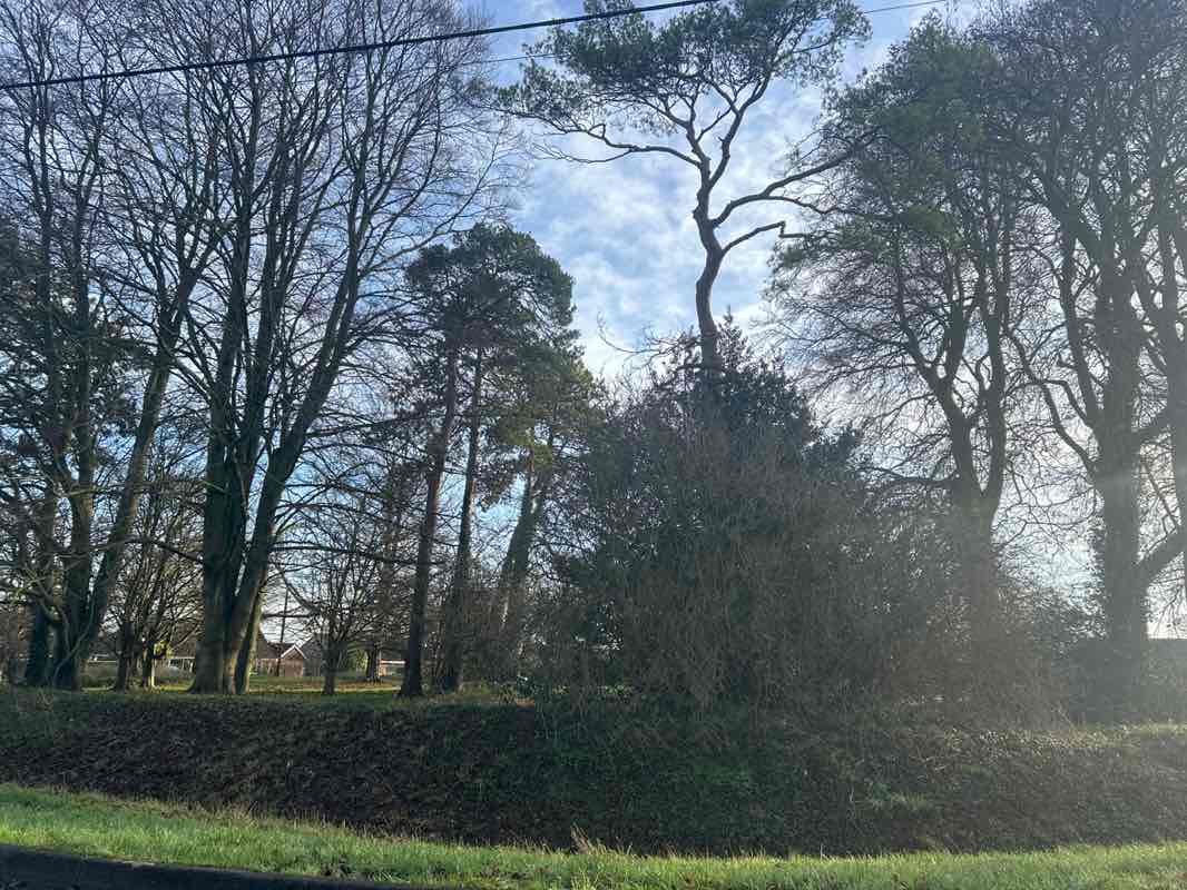 walking near me in Oliver Cromwell's Battery in winter