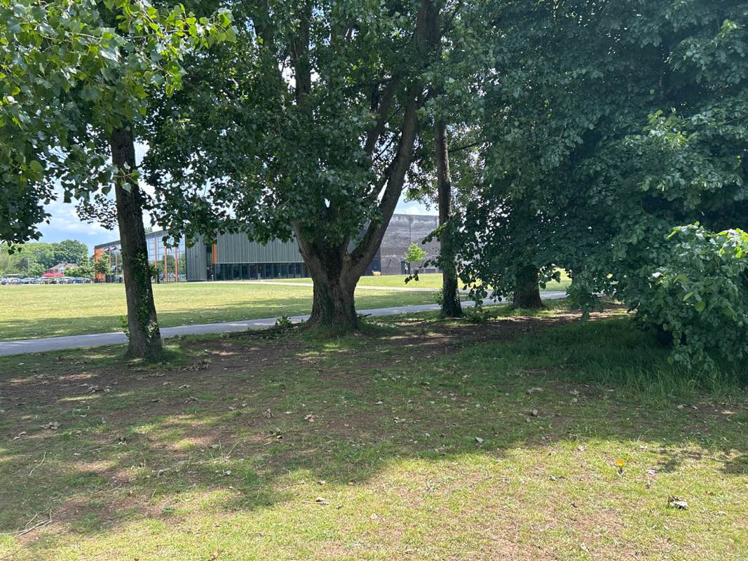 walking near me in Fleming Park Parkland in summer