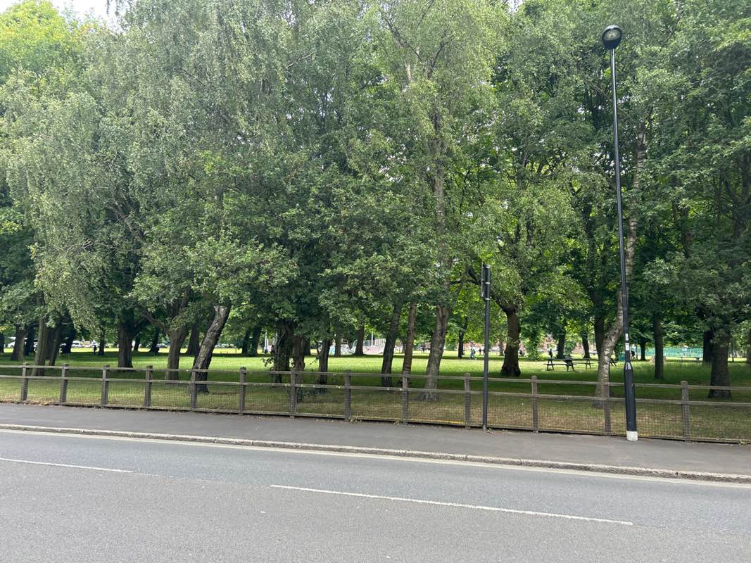 walking near me in Hoglands Park in summer