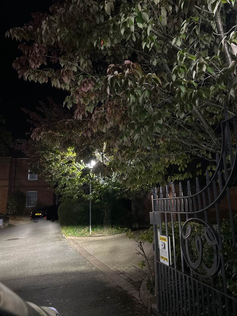 walking near me in Gatcombe Gardens in autumn