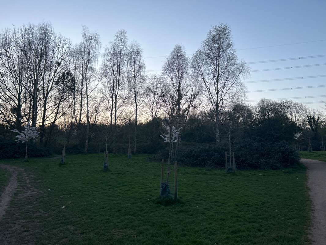 walking near me in Fleming Park Parkland in spring