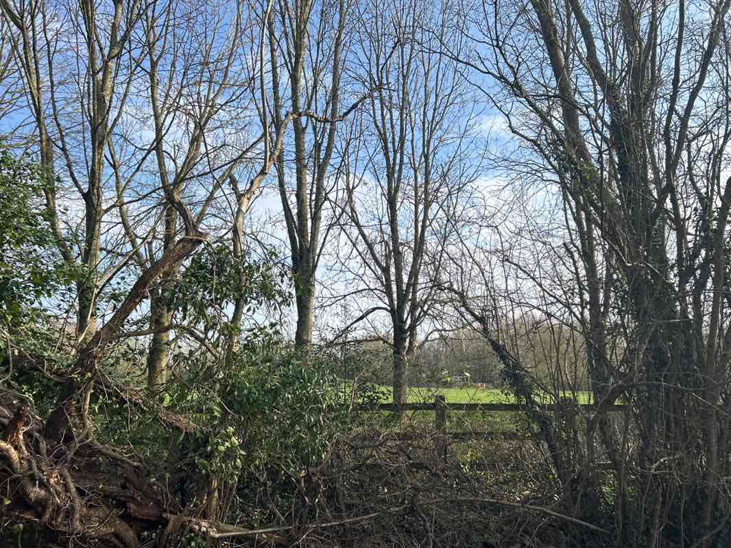 walking near me in Waverley Park in spring