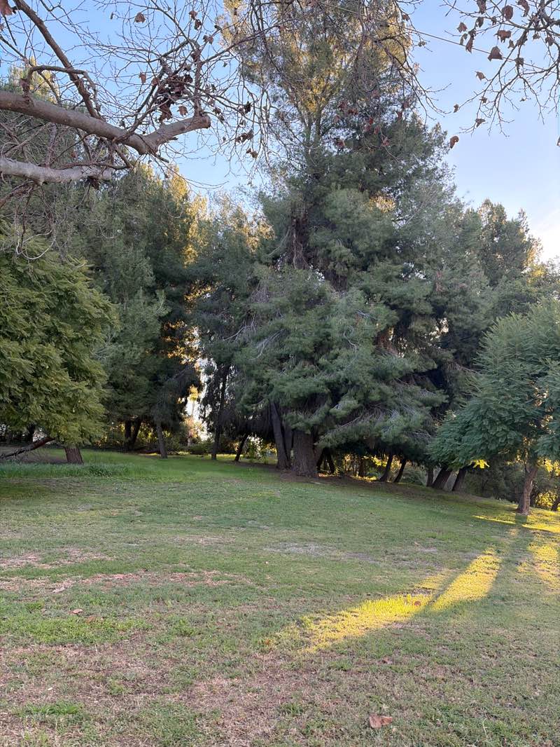 walking near me in Phillips Ranch Park in winter