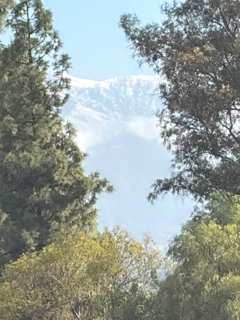 walking near me in Phillips Ranch Park in spring