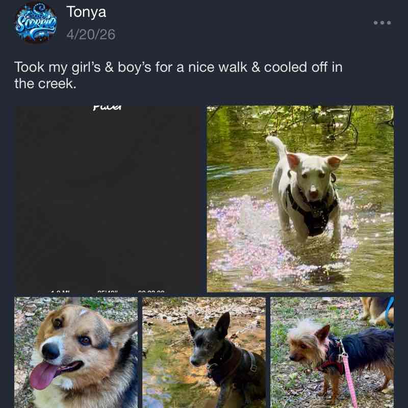 ☕️HAPPY WALKERS☕️ Tonya post image
