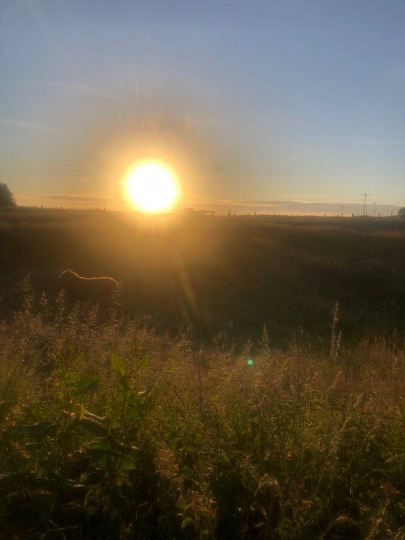 walking near me in Staincliffe Park in winter