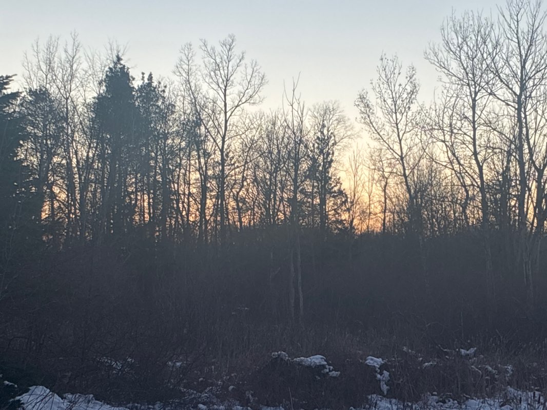 walking near me in Clintonwood Park in winter