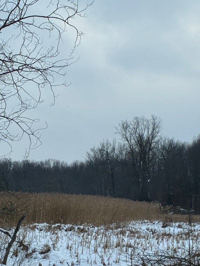 walking near me in Clintonwood Park in spring