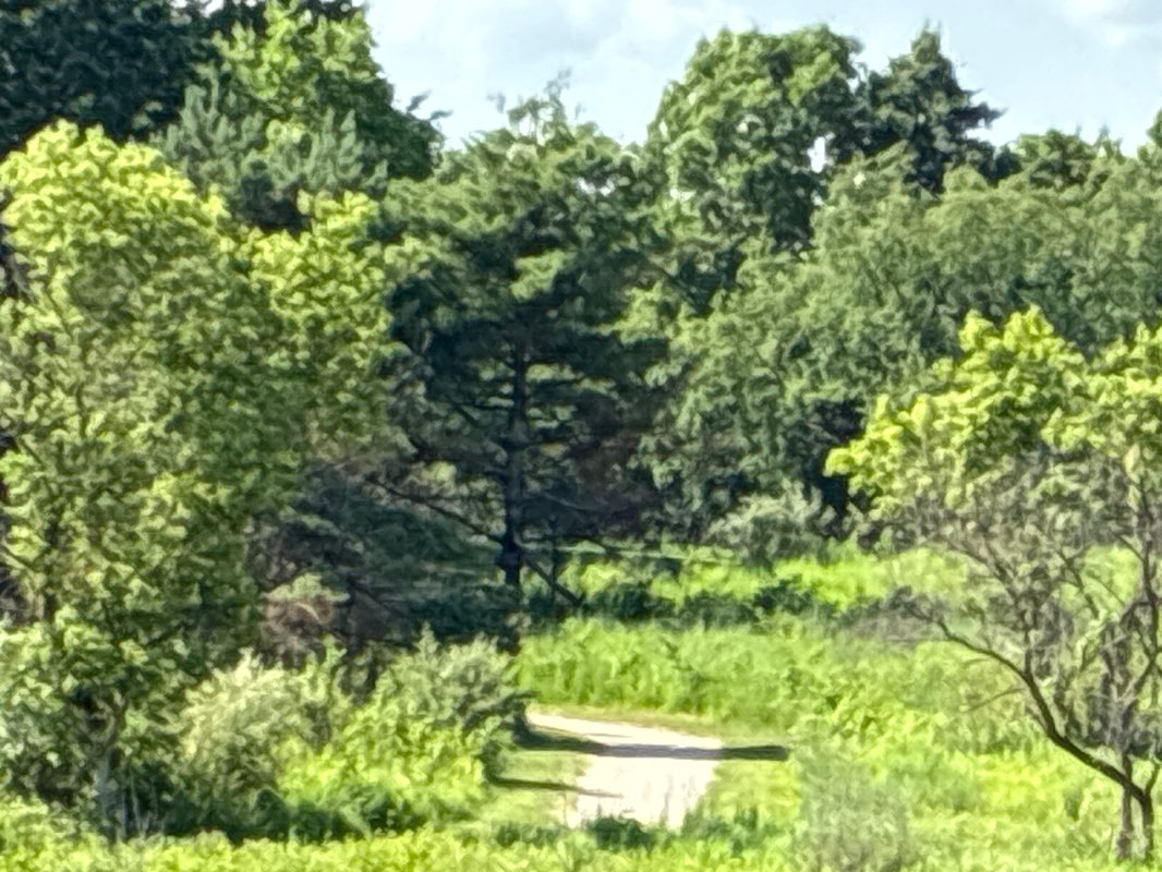 walking near me in Independence Oaks County Park in summer