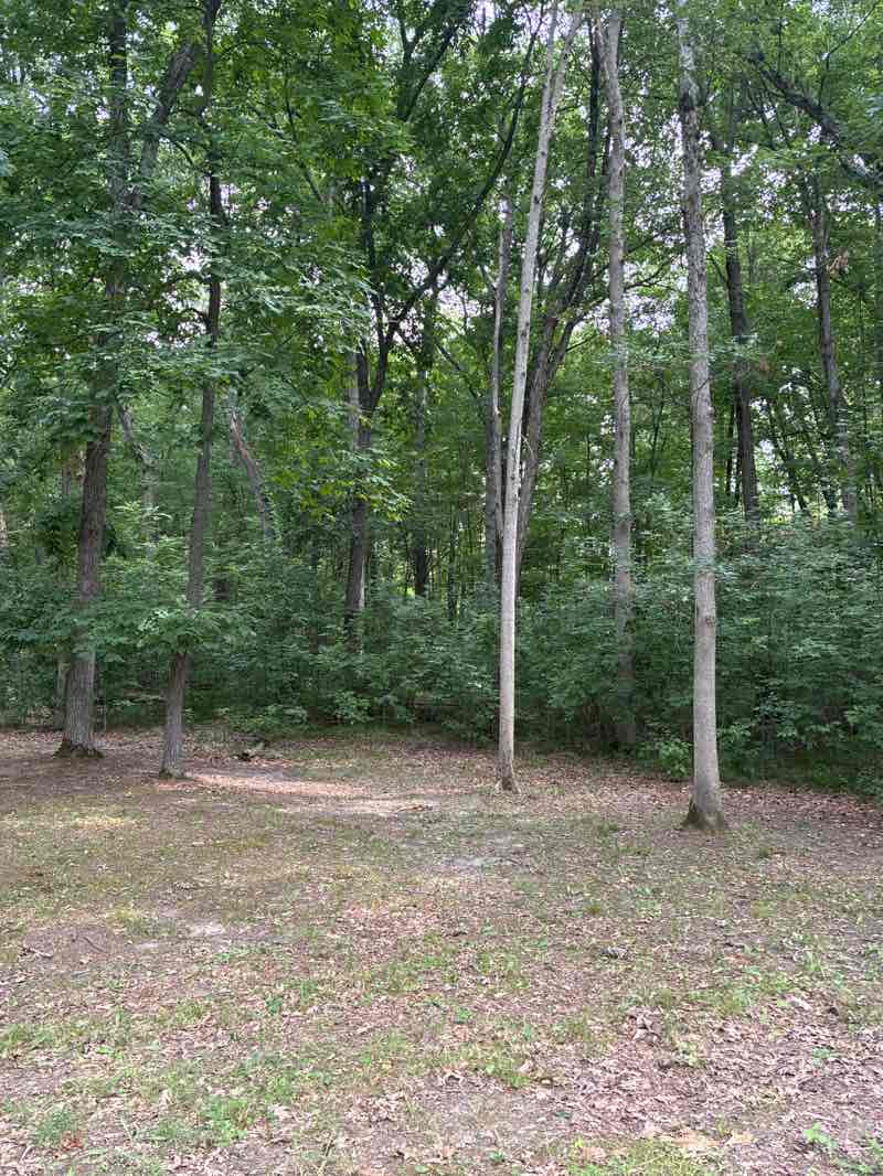 walking near me in Ortonville State Recreation Area in summer