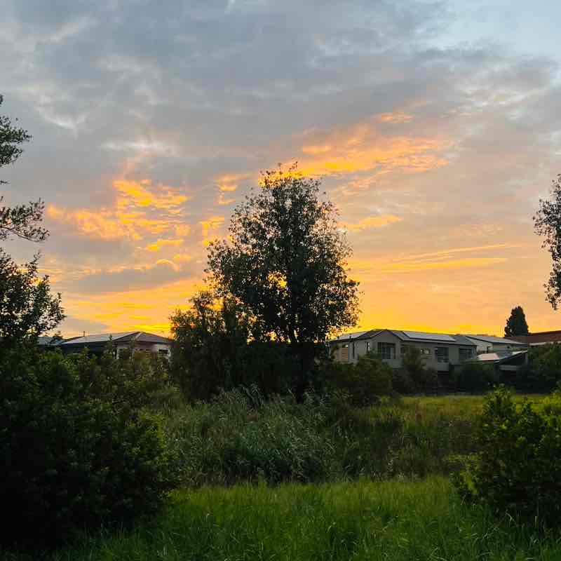 ♥️SOUTH AFRICA PACERS❤️ Sr. Strong post image