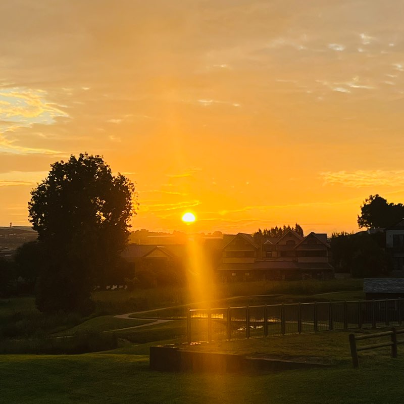 ♥️SOUTH AFRICA PACERS❤️ Sr. Strong post image