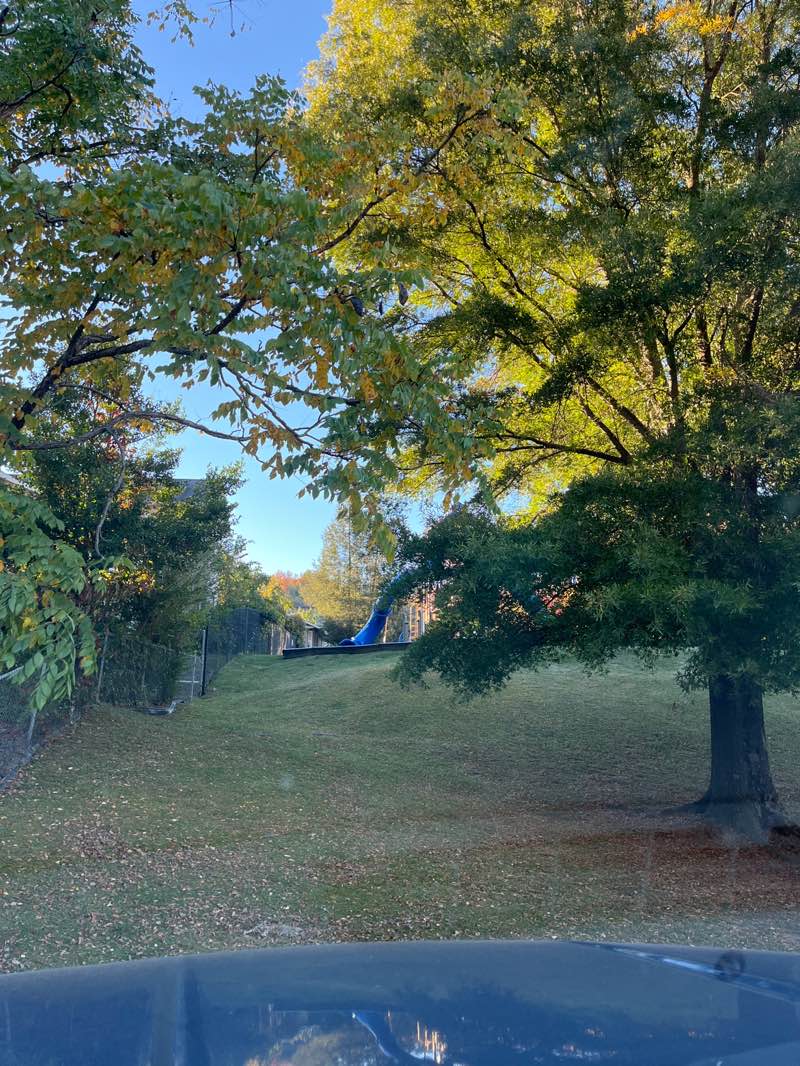 walking near me in Pikeville City Park in autumn