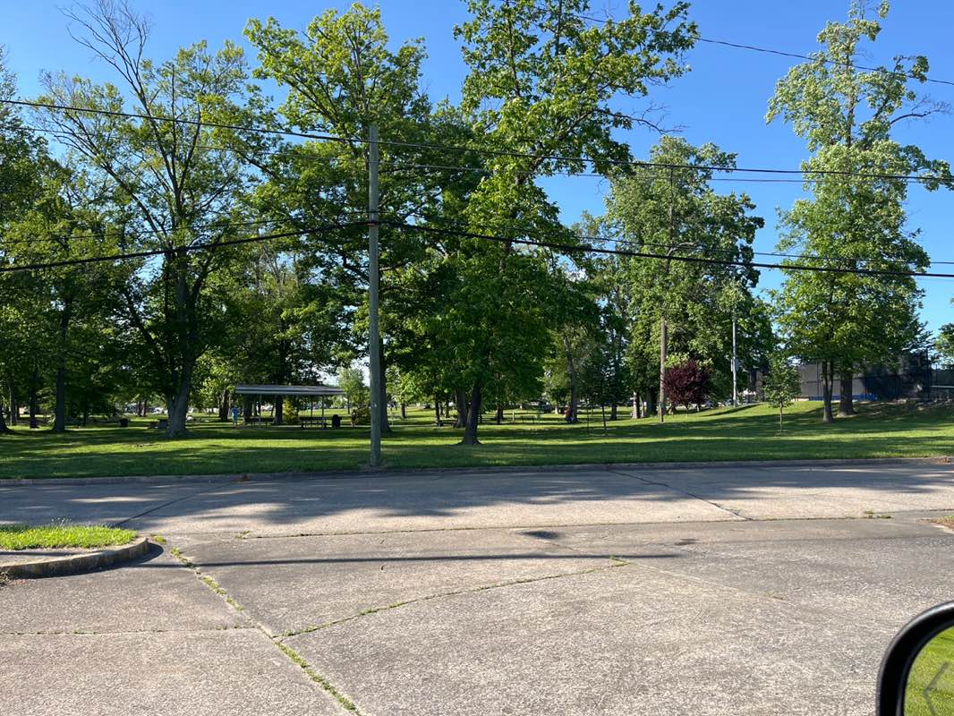 walking near me in Borden Park in spring