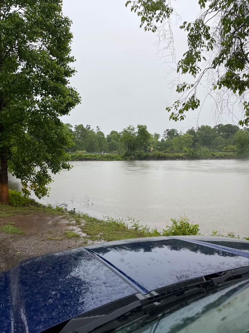 walking near me in Concord Park in spring