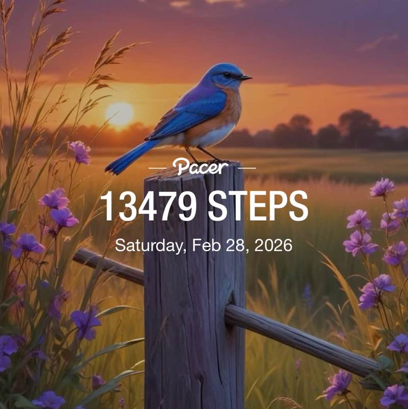 🧡 BeachWayne 🧡 post 2