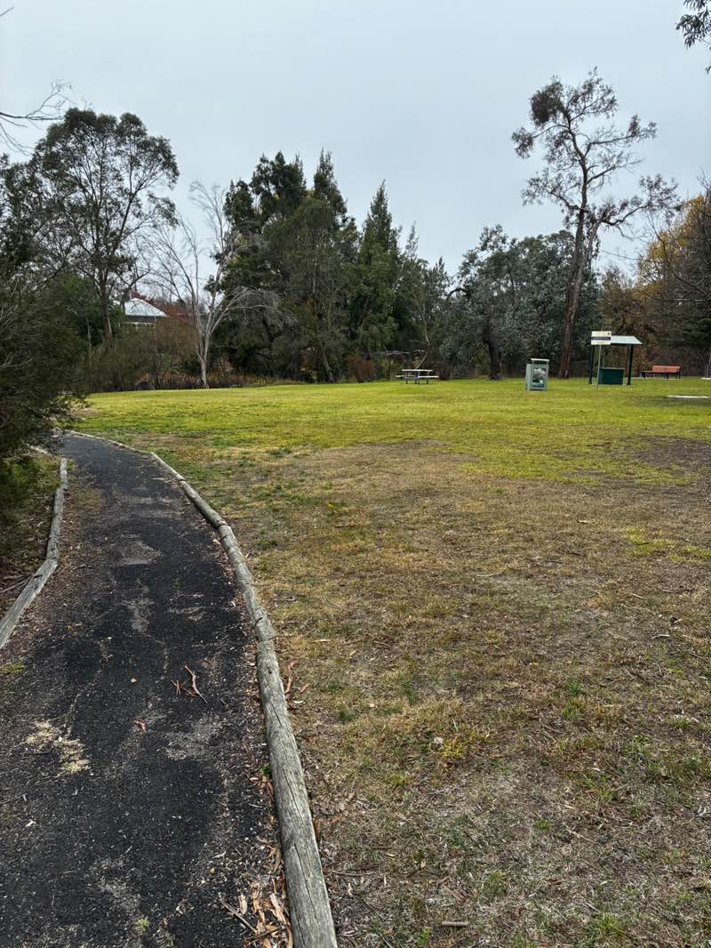 walking near me in Porter Park in winter