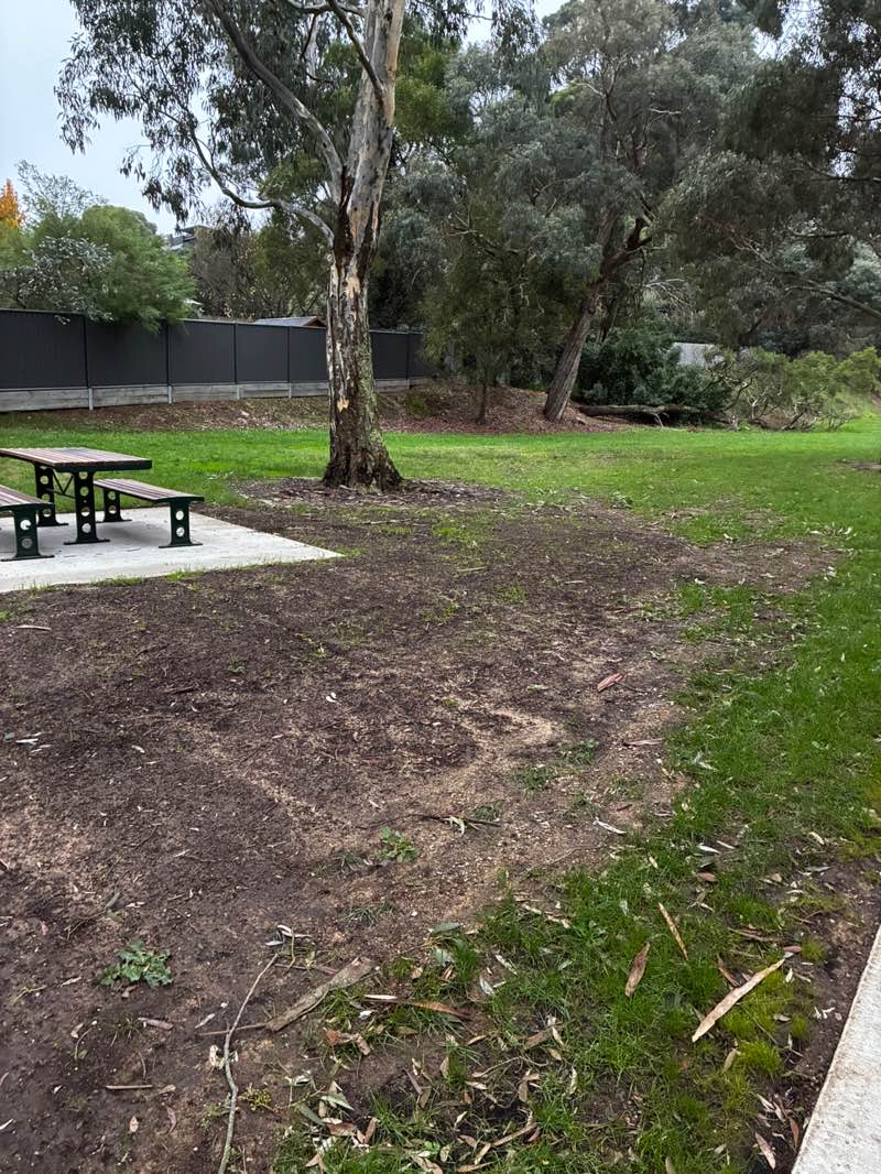walking near me in Inkerman Gully Reserve in winter