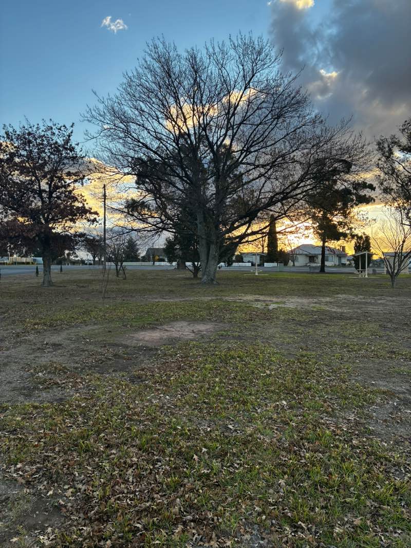 walking near me in Fuller Memorial Park in winter