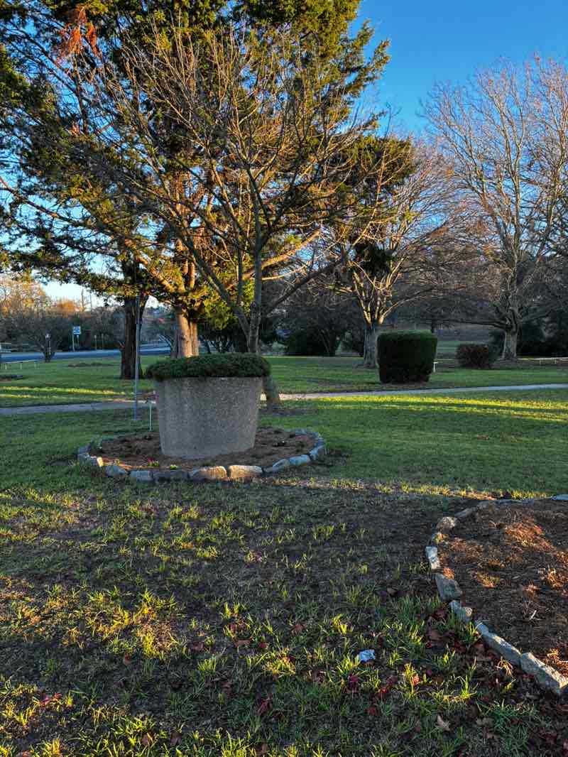 walking near me in Alma Park in winter