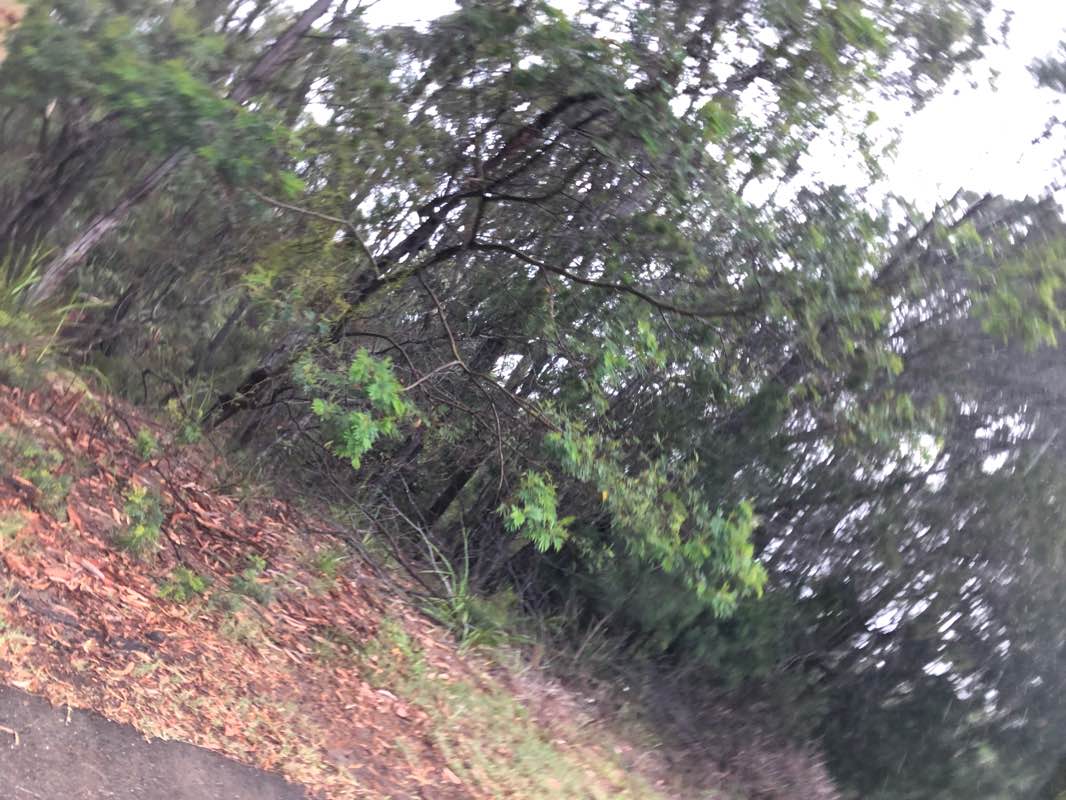 walking near me in Wool Lane Sporting Complex in summer