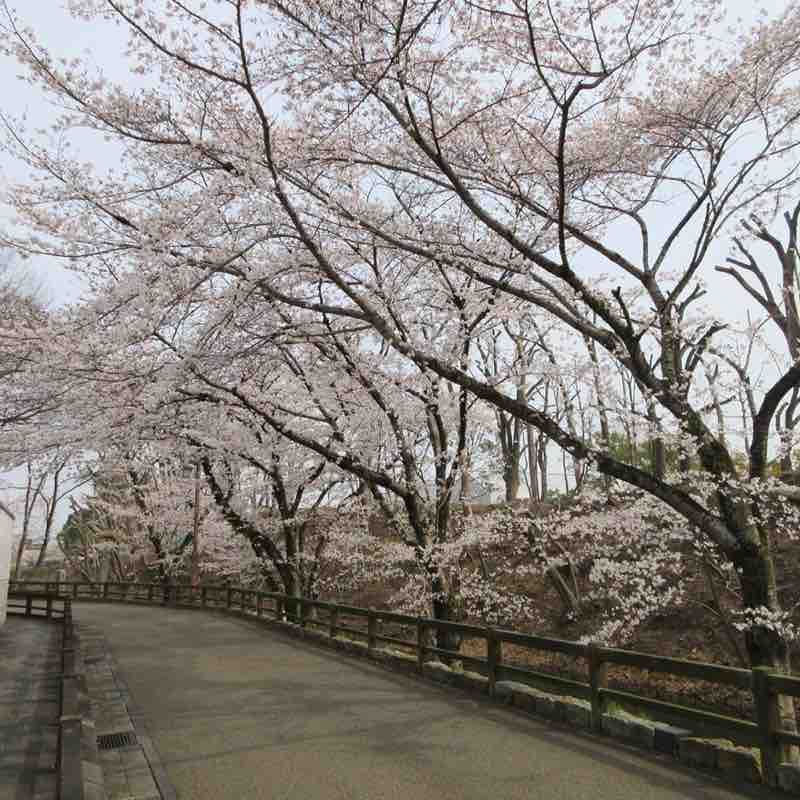 康（Yasushi）🇯🇵 post 3