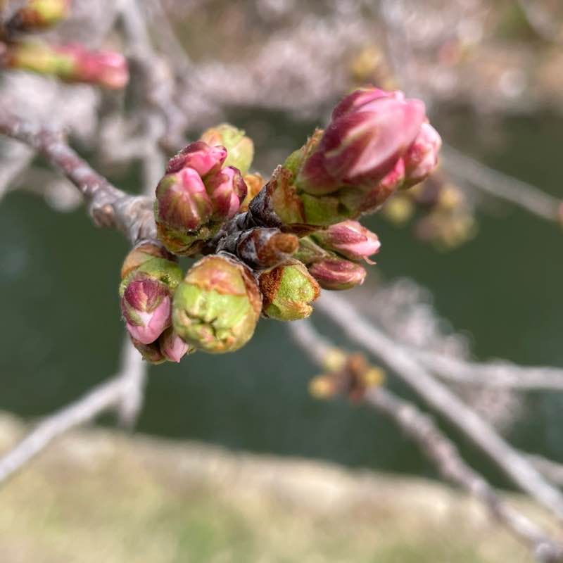 康（Yasushi）🇯🇵 post 1