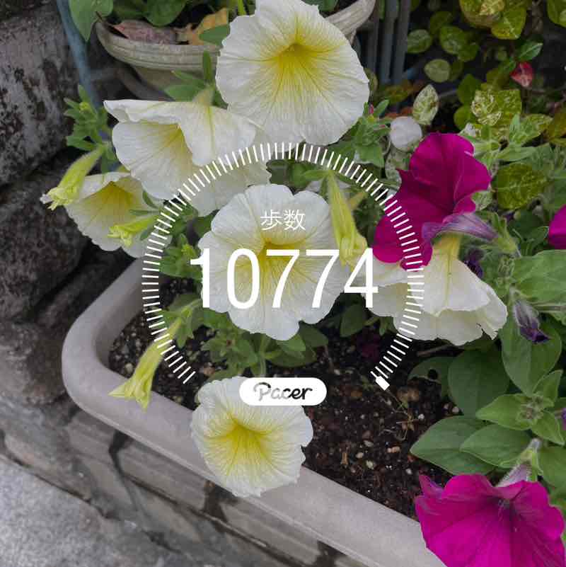 康（Yasushi）🇯🇵 post 1