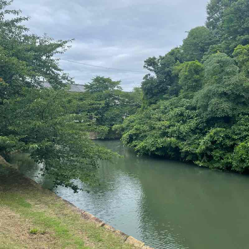 康（Yasushi）🇯🇵 post 1