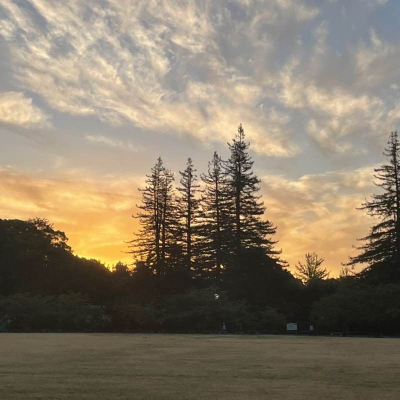 康（Yasushi）🇯🇵 post 2