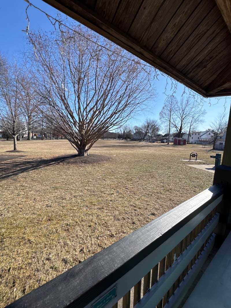 walking near me in Mayor's Park in spring