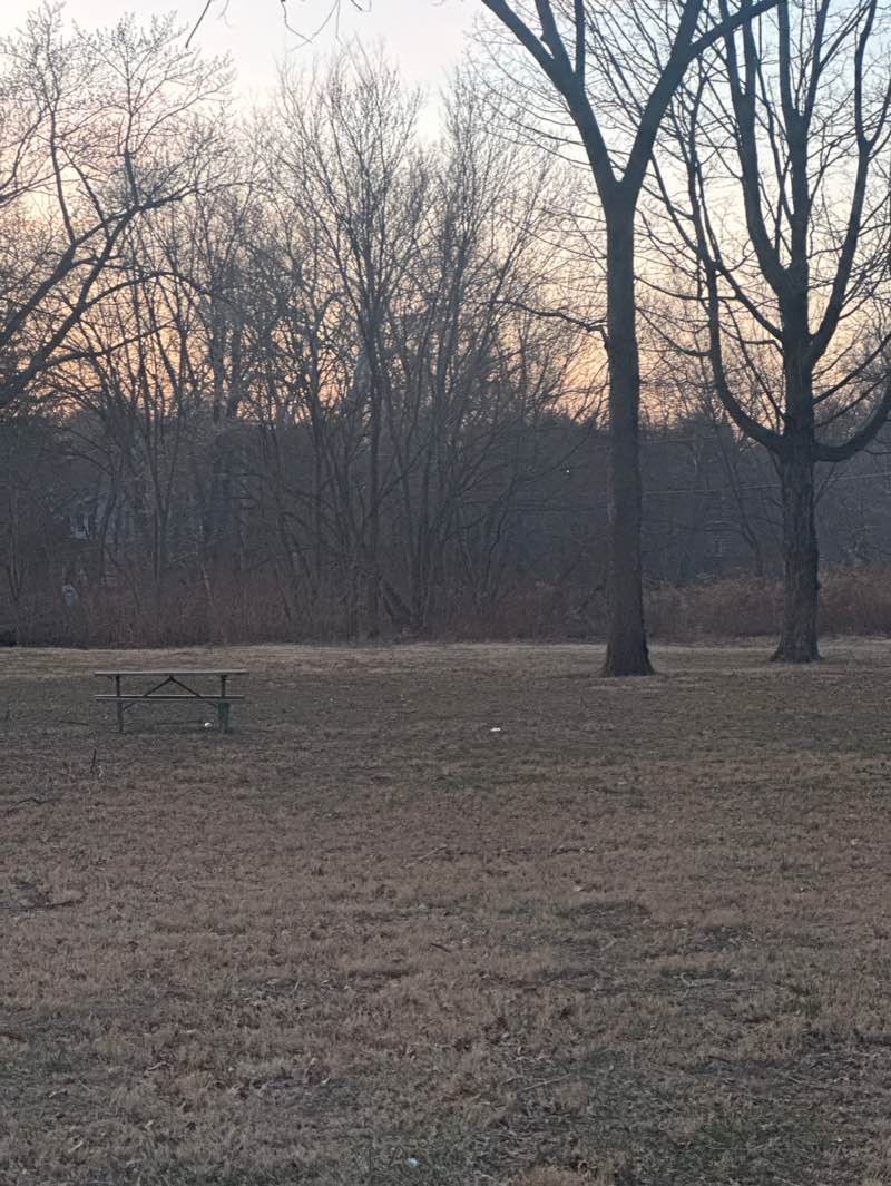 walking near me in Playwicki Park in spring