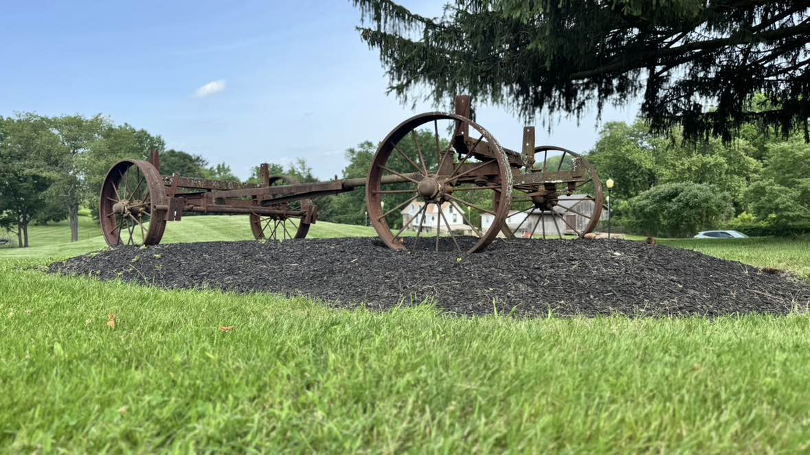 walking near me in Playwicki Farm Park in summer