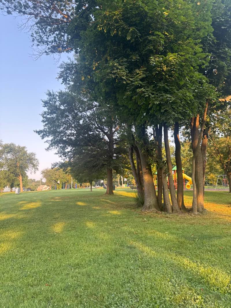 walking near me in Firefighters' Park in autumn